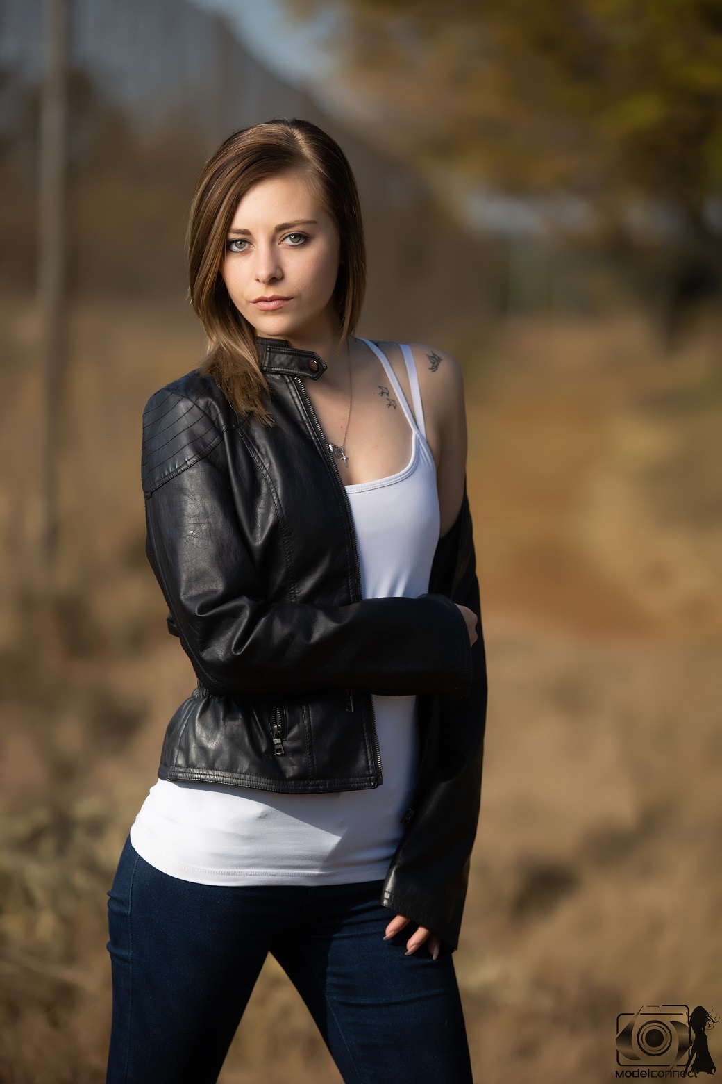 Modelconnect Modelconnect